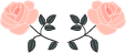 Asset 1 1